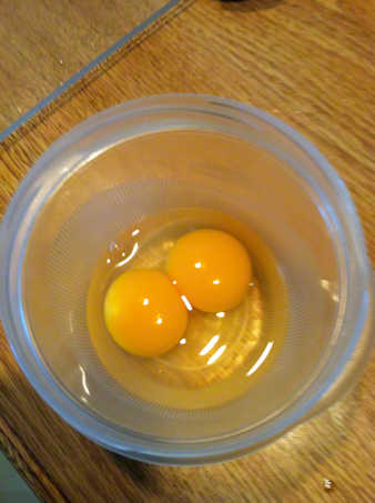 Double yolk egg